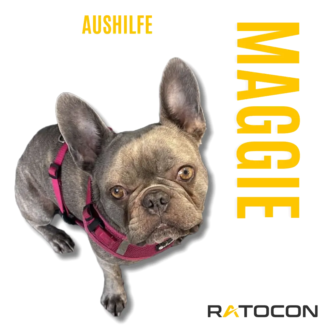 Maggie